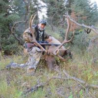 302" Bull Elk Chama NM