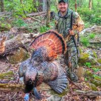 Day 10 Missouri Turkey Season