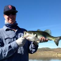 Bass Fishing