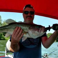 4.5 pound bass