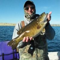 Nice Smallie