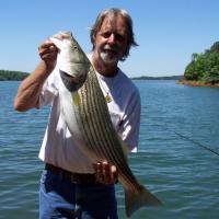 Bass