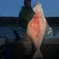 Flounder