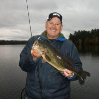 Bass