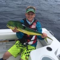 Saltwater Dolphinfish
