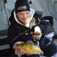 Nice Perch on The St. Croix