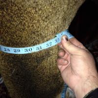 SE Iowa Deer Hunting1426220 630550136984264 594325989 n