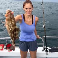 Grouper, Naples FL