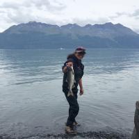 Pink Salmon