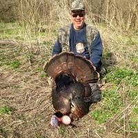 Wisconsin Turkey