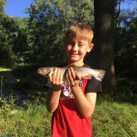 Yellow River Trout