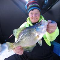 Giant Lake Of The Woods Crappie