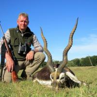 Blackbuck Antilope