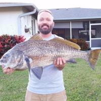Drum Atlantic Croaker