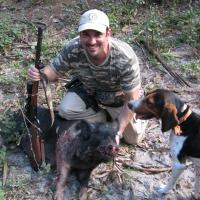 Hog hunting