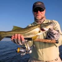 grassettlongbarsnook Snook