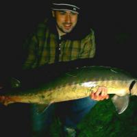 Sturgeon 972249 10151637095580733 475648400 n