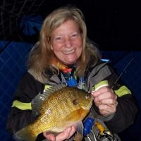 Big Minnesota Blue Gill
