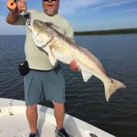 Bull red on top water lure