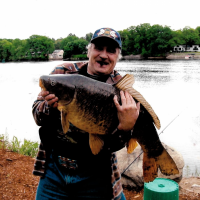 Carp: 36 lbs