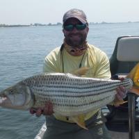 Zambezi Tiger Fish
