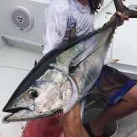 Tuna