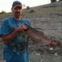 7 lb Cutbow Trout