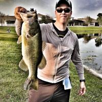 Bassin the urban ponds
