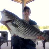 Nice Striper Bass
