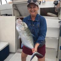 Fishing for Jacks