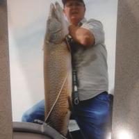 Jerry / 54" 40 Lb Muskie released