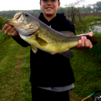 Monster Bass