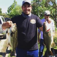 Nice catch - double Bass