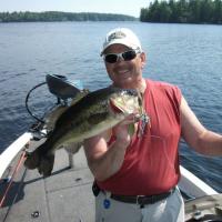 Bass