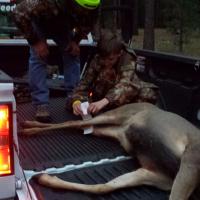 Putting the Deer Tag on 1st deer