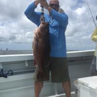 Record Gray Snapper photo #2