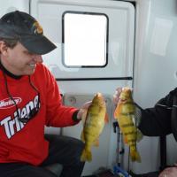 Big Devils Lake Perch