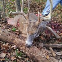 Bryan's Indiana Brute!