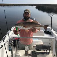 Catching Red Drum