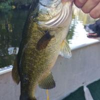 River Fishing Florida