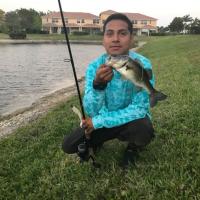 Pond Bass