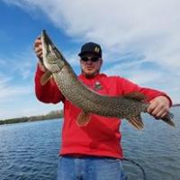 37" 11lb Pike Lake Champlain Fishing