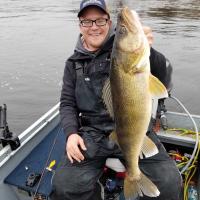 Big Late Fall Lake Of The Woods Walleye