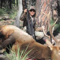 My first bull elk october2014