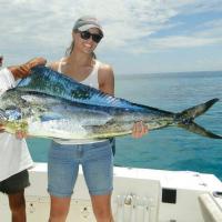 Saltwater Dolphinfish
