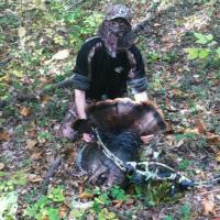 2012 - Gobbler - Archery - (8.5" Beard)