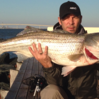 Striper Success!!