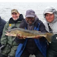 Big Lake Of The Woods Walleye