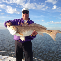 Red Drum