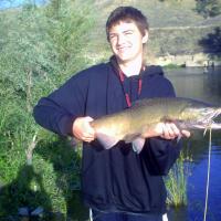Salmon